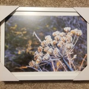 Photo with frame 11x14